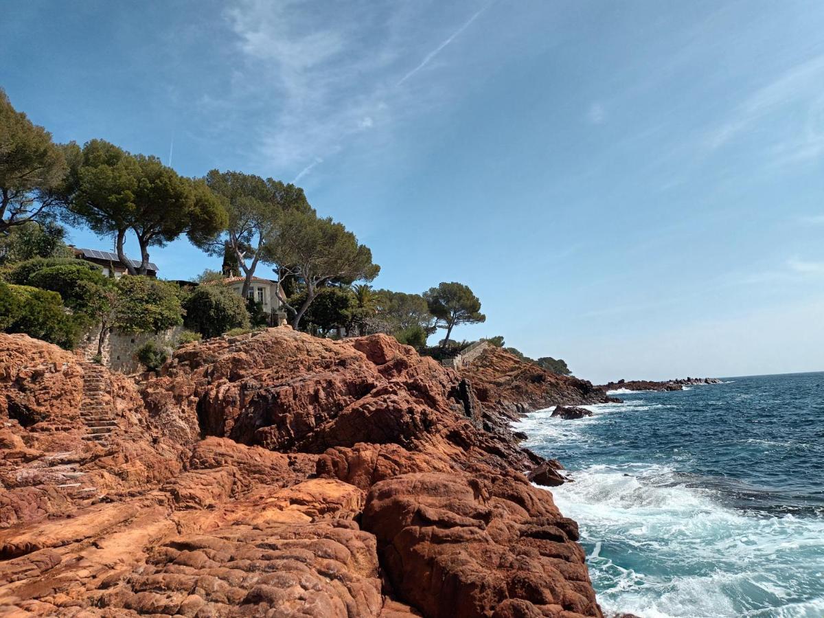 Bed & Breakfast Jolie Petite Cote D'azur. Fréjus
